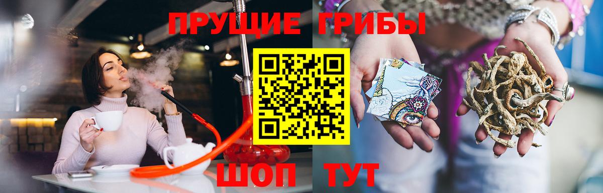 Галлюциногенные грибы Psilocybe  Вход с VPN  Мирный 