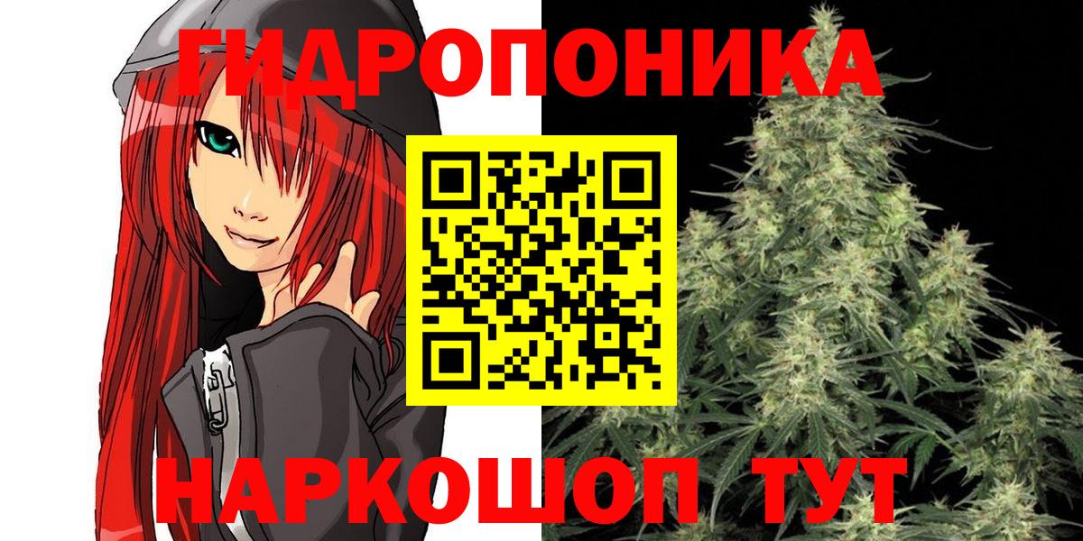 МАРИХУАНА планчик Мирный